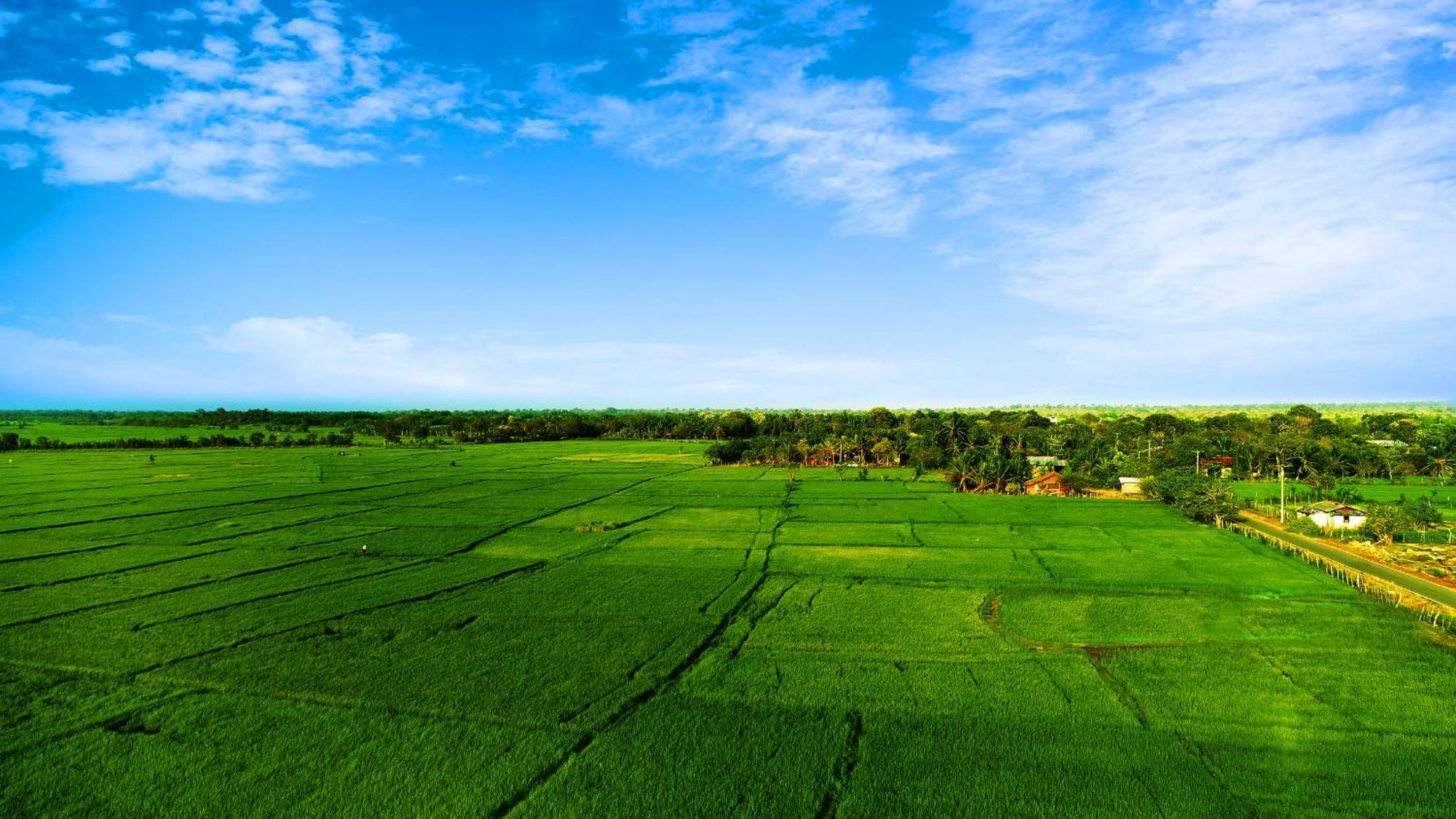 Avonil Resort Yala Тиссамахарама Экстерьер фото
